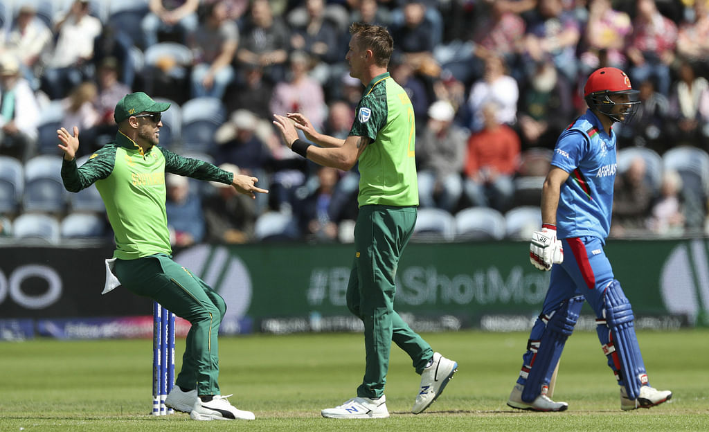 Du plessis and Chris Morris.