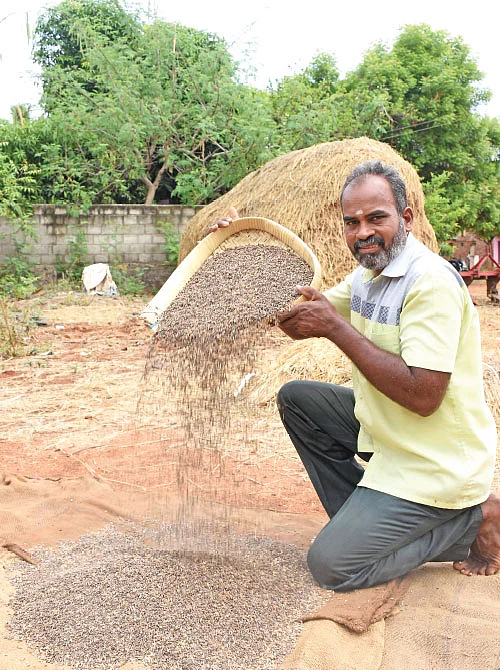 மருந்துக் கடைக்காரரின் மருத்துவ நெல் சாகுபடி! - 1 ஏக்கர் 36 சென்ட்... ரூ.64,320 லாபம்! தூயமல்லி, நவரா, சீரகச்சம்பா...