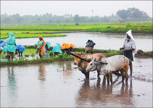 முன்னறிவிப்பு: தென்மேற்குப் பருவமழை எவ்வளவு கிடைக்கும்?