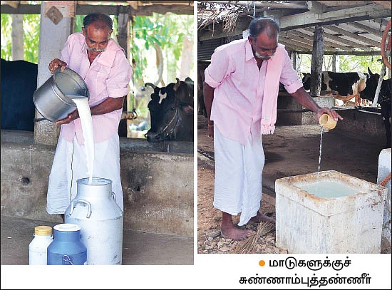 18 கறவை மாடுகள் மாதம் ரூ. 1,89,000 - பால், தயிர், பால்கோவா, பன்னீர்…