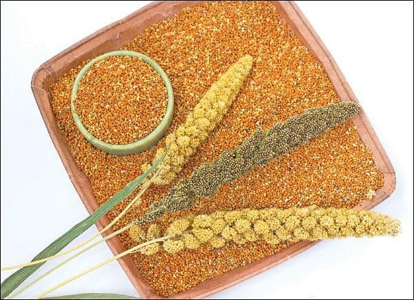 Agri Export for abundant income... Successful strategies! Part 9
