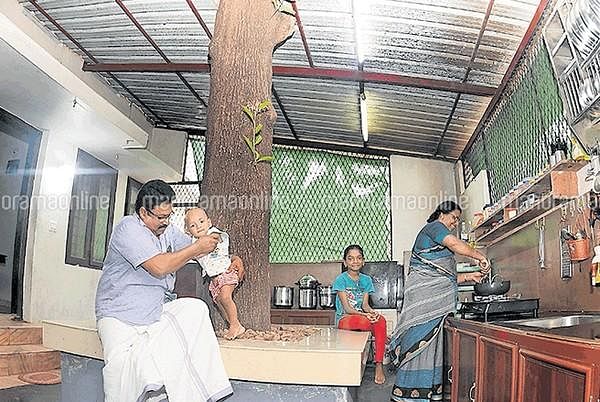 கேரளாவில் கிச்சனுக்குள் ஒற்றை மரம்!- இங்கே 20,000 மரங்களை வெட்ட முடிவு