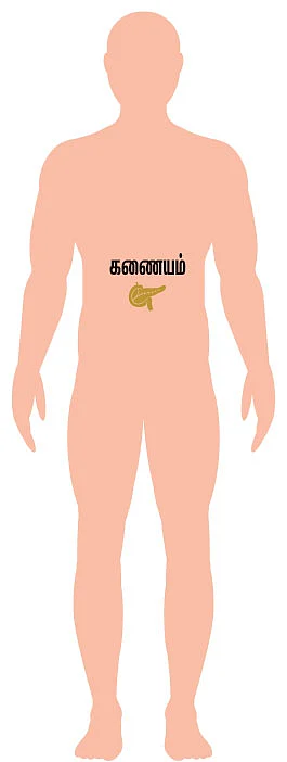 இன்னா நாற்பது இனியவை நாற்பது - நலம் 2