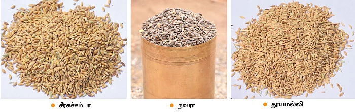 மருந்துக் கடைக்காரரின் மருத்துவ நெல் சாகுபடி! - 1 ஏக்கர் 36 சென்ட்... ரூ.64,320 லாபம்! தூயமல்லி, நவரா, சீரகச்சம்பா...
