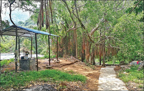 சிலிர்க்கும் தரிசனம்!