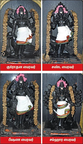 எதிர்காலம் சிறக்க எலுமிச்சை உத்தரவு! - சரபசூலினி சந்நிதியில்...