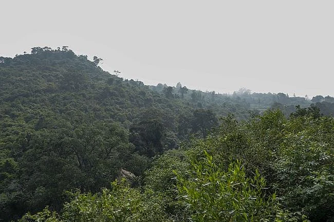 பச்சைமலை போங்க அப்படியே இயற்கையிடம் சரண்டர் ஆகிடுவீங்க! - திருச்சி சில்லிங் ஸ்பாட்#MyVikatan