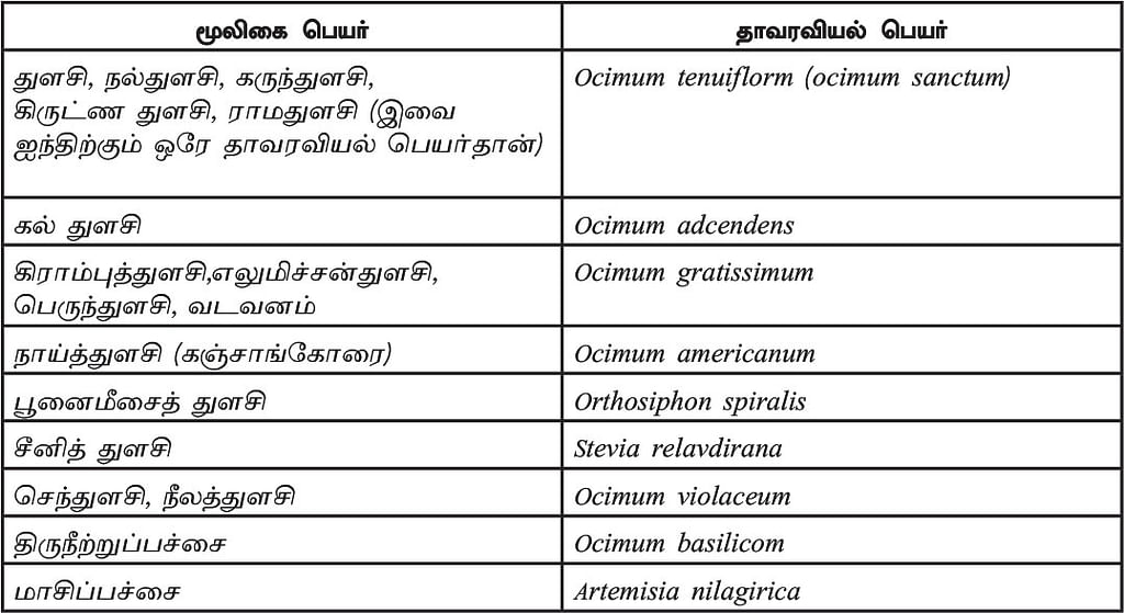 நல்மருந்து 2.0 - துன்பம் தீர்க்கும் துளசி! - மருத்துவம் - 2