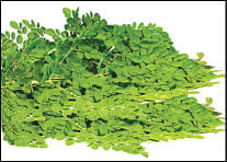 உணவே மருந்து!