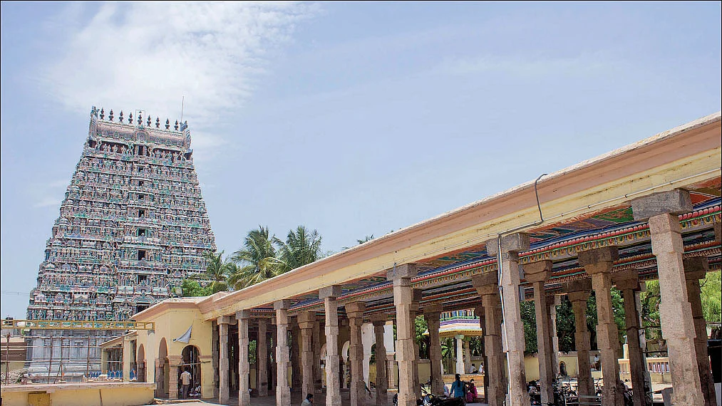 நாரதர் உலா