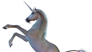 குதிரை