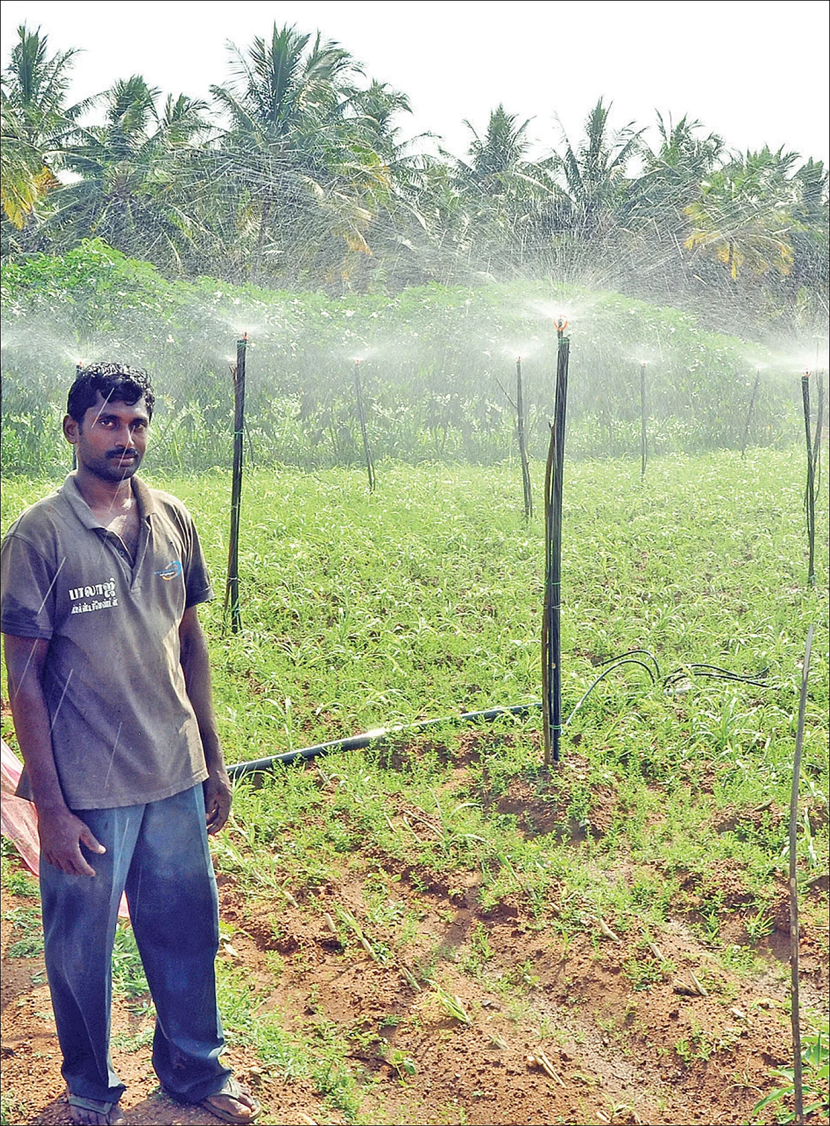 விவசாயிகளுக்குக் கைகொடுக்கும் நபார்டு வங்கி!