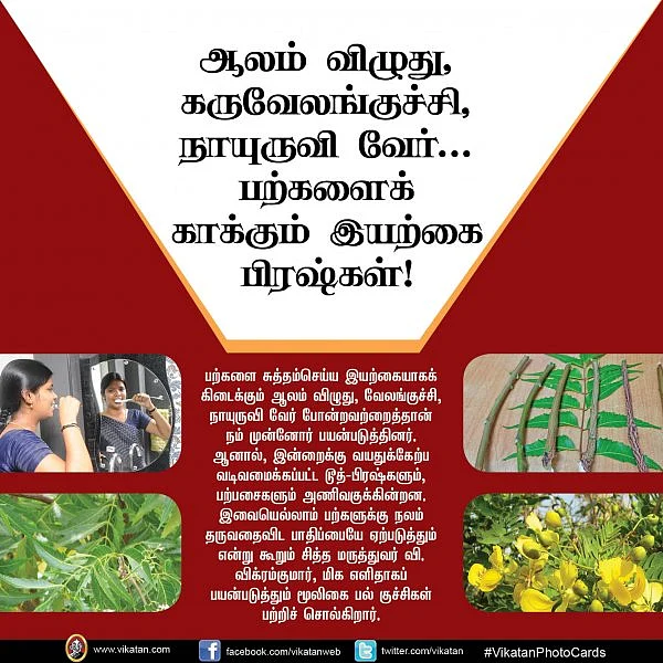 ஆலம் விழுது, கருவேலங்குச்சி, நாயுருவி வேர்... பற்களைக் காக்கும் இயற்கை பிரஷ்கள்!