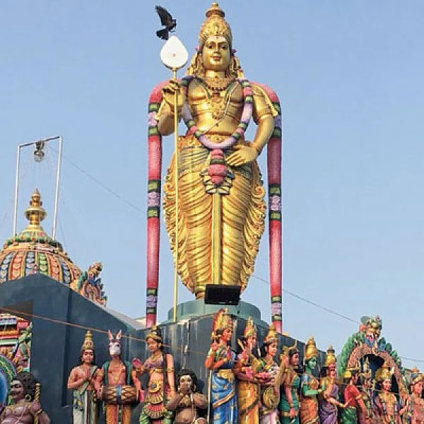 சிலிர்க்கும் தரிசனம்!