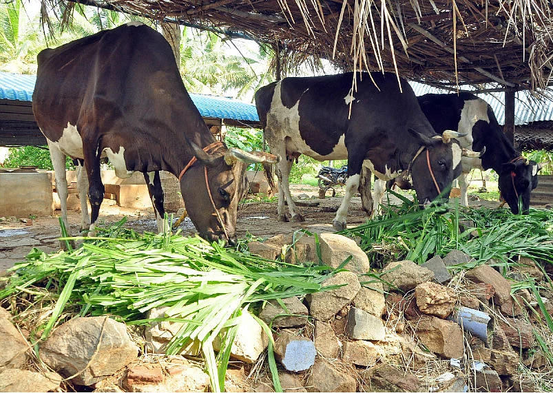 விவசாயிகளுக்குக் கைகொடுக்கும் நபார்டு வங்கி!