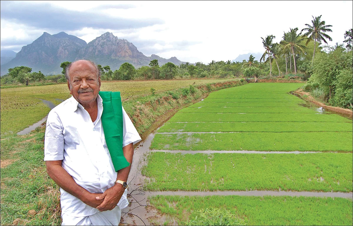 வயலில் முஸ்தபா...