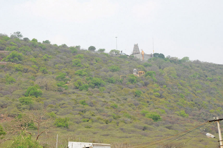சின்னமலை முருகர் கோயில்