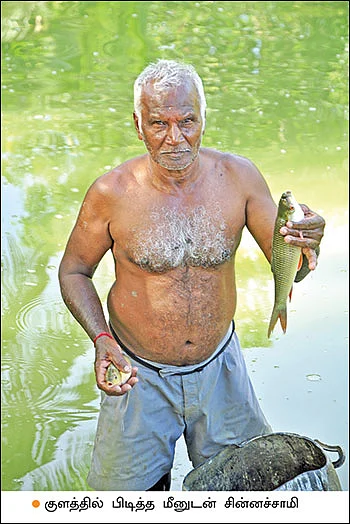 பணம் குவிக்கும் பண்ணைத்தொழில்கள் - 9 - கலக்கல் லாபம் தரும் கலப்பின மீன் வளர்ப்பு!