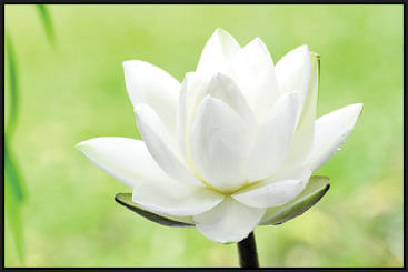 இன்னா நாற்பது இனியவை நாற்பது - நலம் 6
