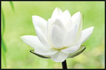 இன்னா நாற்பது இனியவை நாற்பது - நலம் 6