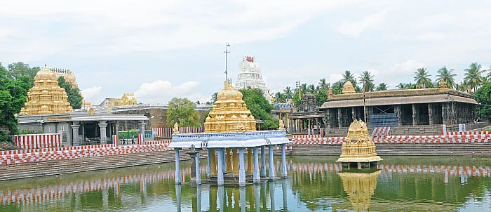 அருளாளா... அத்தி வரதா!