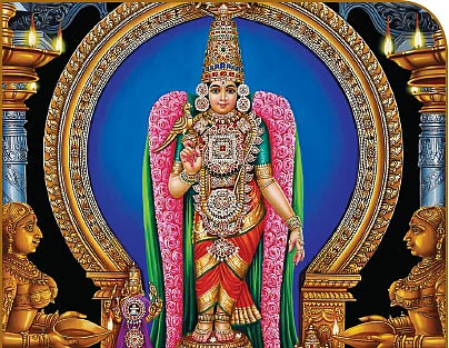 தாண்டவனே தில்லை ஆண்டவனே!