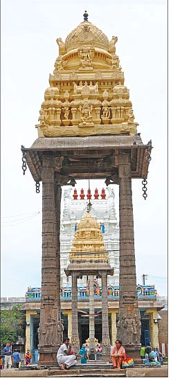 கலியுகத்தின் கற்பக விருட்சம்!