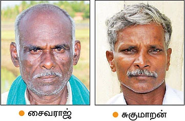 முளைக்காத விதைநெல்... விரக்தியில் விவசாயிகள்!