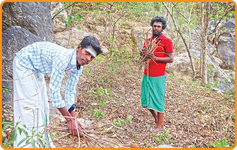 புண்ணிய புருஷர்கள் - 8