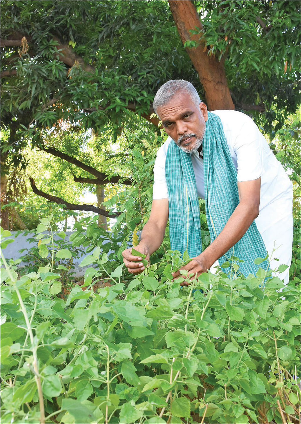 புதிய தொடர் - நல்மருந்து 2.0