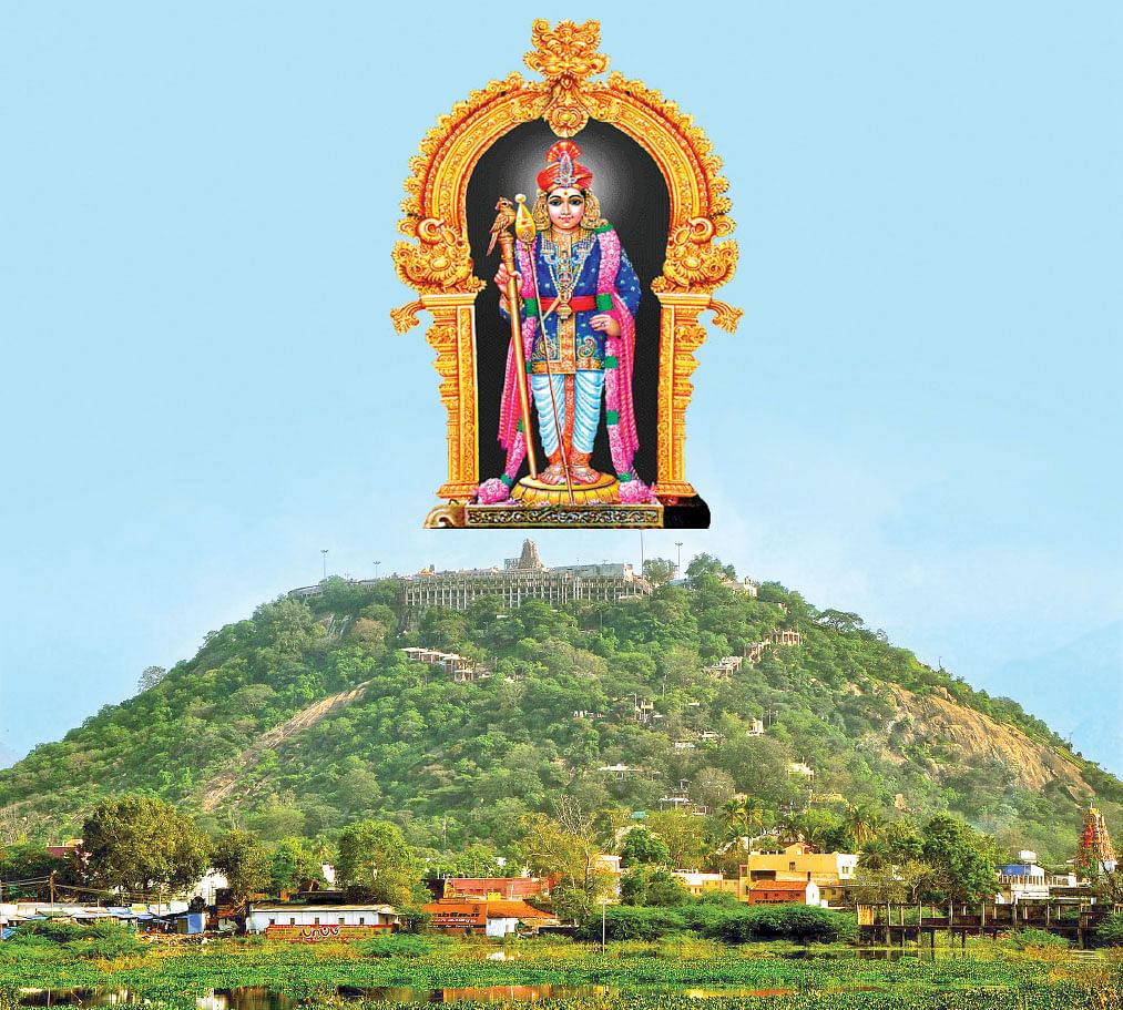 பழநி தண்டாயுதபாணி கோயில்