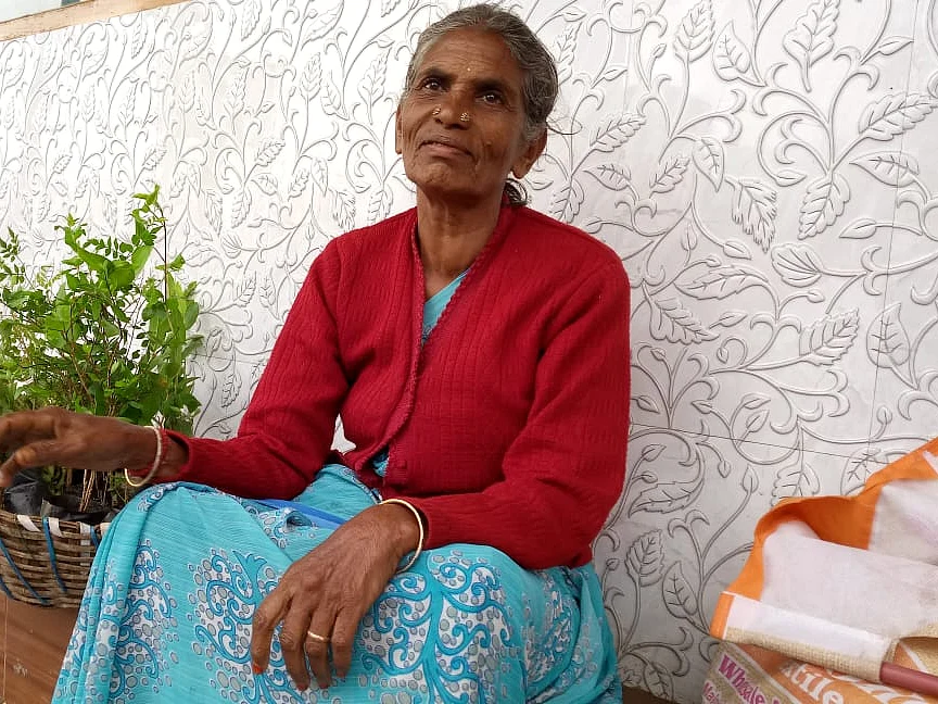 `30 வருஷமா நாத்து விக்கிறேன்; மனசு நிறைவா இருக்கு' - குன்னூரை பசுமையாக்கும் `மர பாட்டி' சரஸ்வதி!