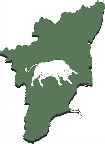 நாணயம் பிட்ஸ்...