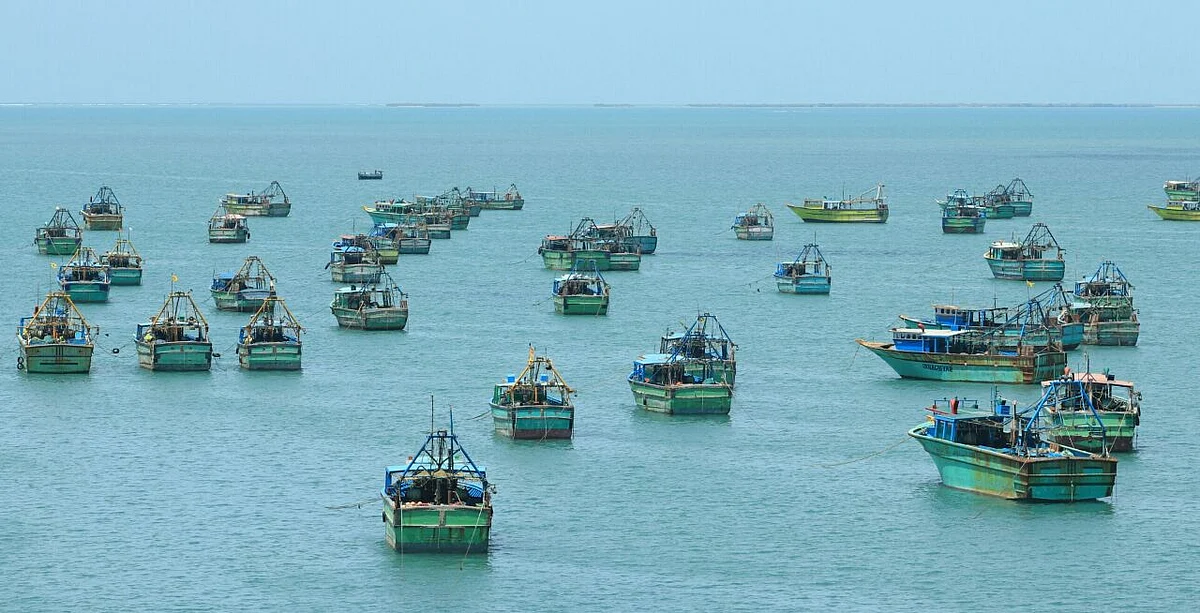 மீன்பிடி நிறுவன மேலாண்மை பட்டப்படிப்பு