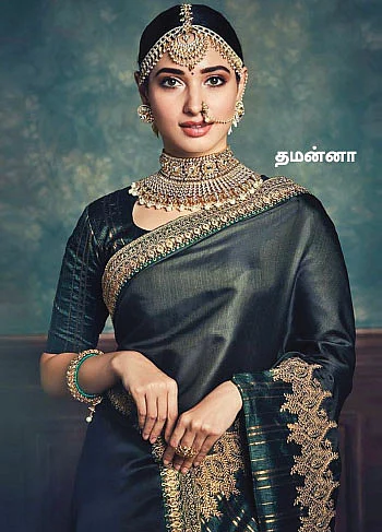 மிஸ்டர் மியாவ்