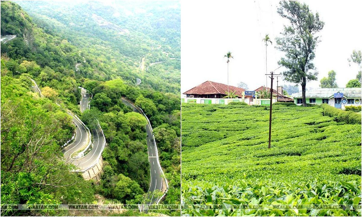 கர்ஜிக்கும் நீர்வீழ்ச்சி… சிறைப்பிடிக்கும் பசுமை… வால்பாறை பயண அனுபவம்!