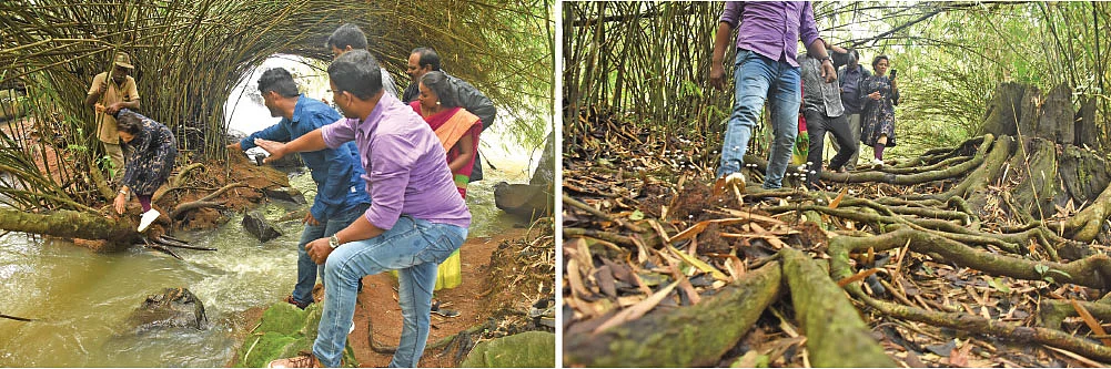 ரீடர்ஸ் கிரேட் எஸ்கேப் / கோவை - காந்தன்பாரா : இவ்விட மூங்கில் அருவி த்ரில்லிங் ஆயிட்டுண்டு!