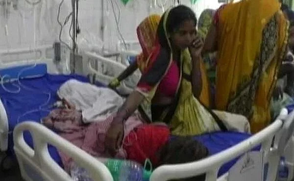 லிச்சி பழம் சாப்பிட்டால் மூளைக்காய்ச்சல் வராது - தேசிய லிச்சி பழ ஆராய்ச்சி மைய இயக்குநர்