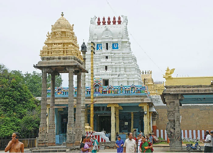 கலியுகத்தின் கற்பக விருட்சம்!
