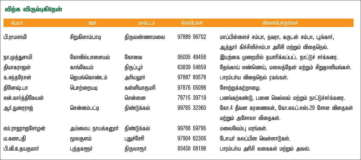 பசுமை சந்தை