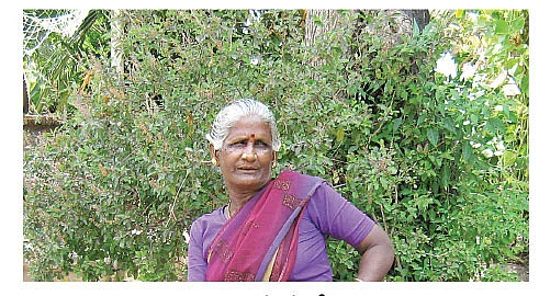 பூமாலைக்கண்ணி