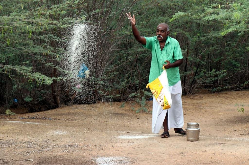 `இவர்தான் நிஜ ஹீரோ' - பறவைகளுக்கும் உணவளித்து உயர்ந்து நிற்கும் உக்கிரபாண்டியன்!