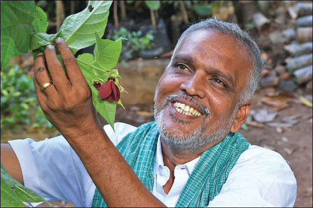 புதிய தொடர் - நல்மருந்து 2.0