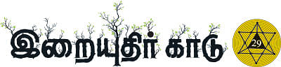 இறையுதிர் காடு - 29