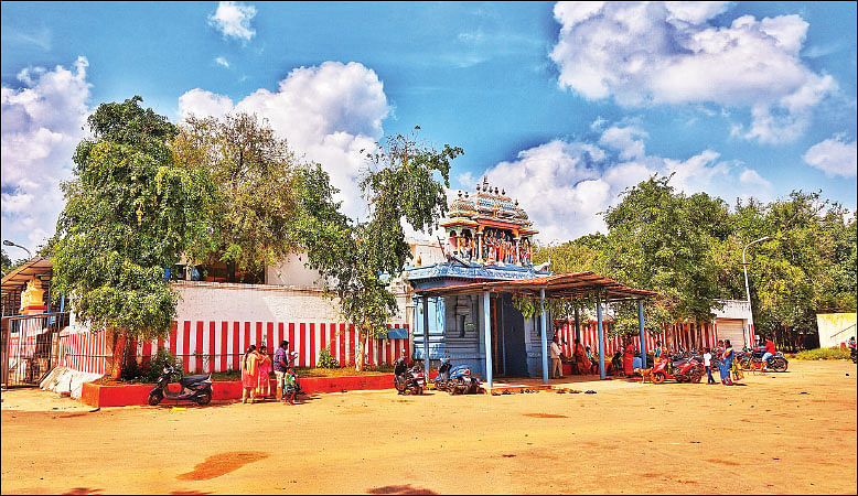 தமிழகம் இன்ஃபோ ஸ்பெஷல் #14 - கடலூர் 200 - இன்ஃபோ புக்