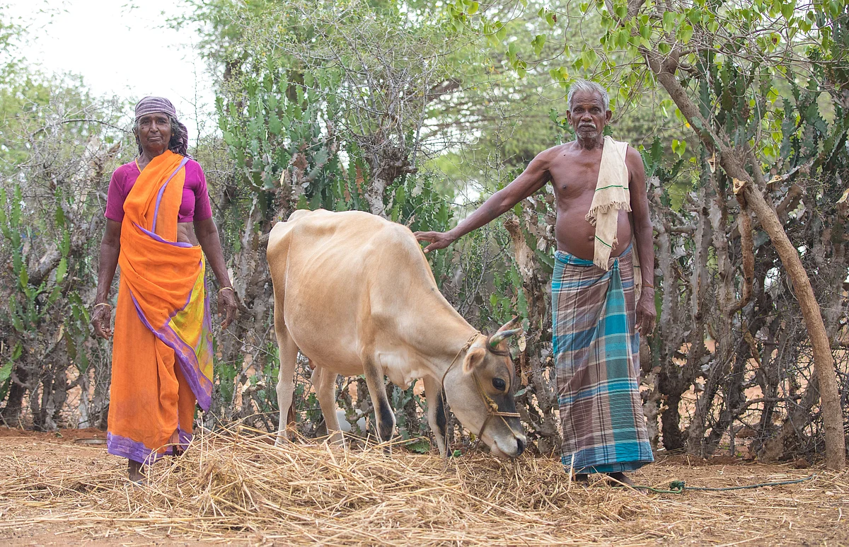 Kaaliappan - Paapayi