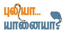 குடும்பம்: புலியா... யானையா...