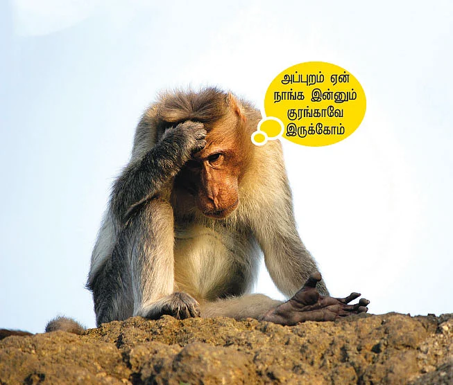 வாசகர் மேடை
