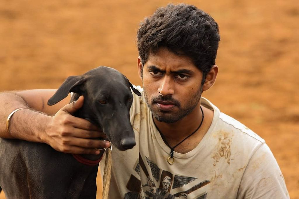 பரியேறும் பெருமாள்