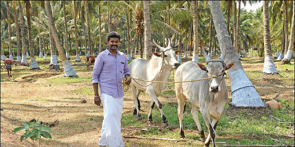 Jegadesan